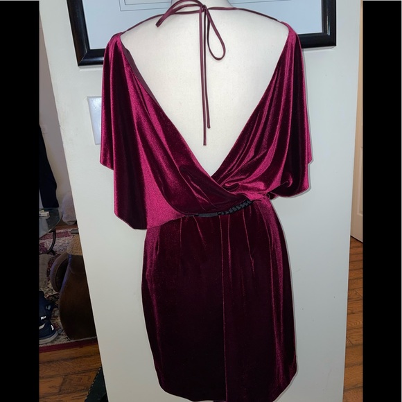 NWOT Berry Velvet Dress. Preserved for 10years, now certainly “One of a kind.” - Picture 2 of 5